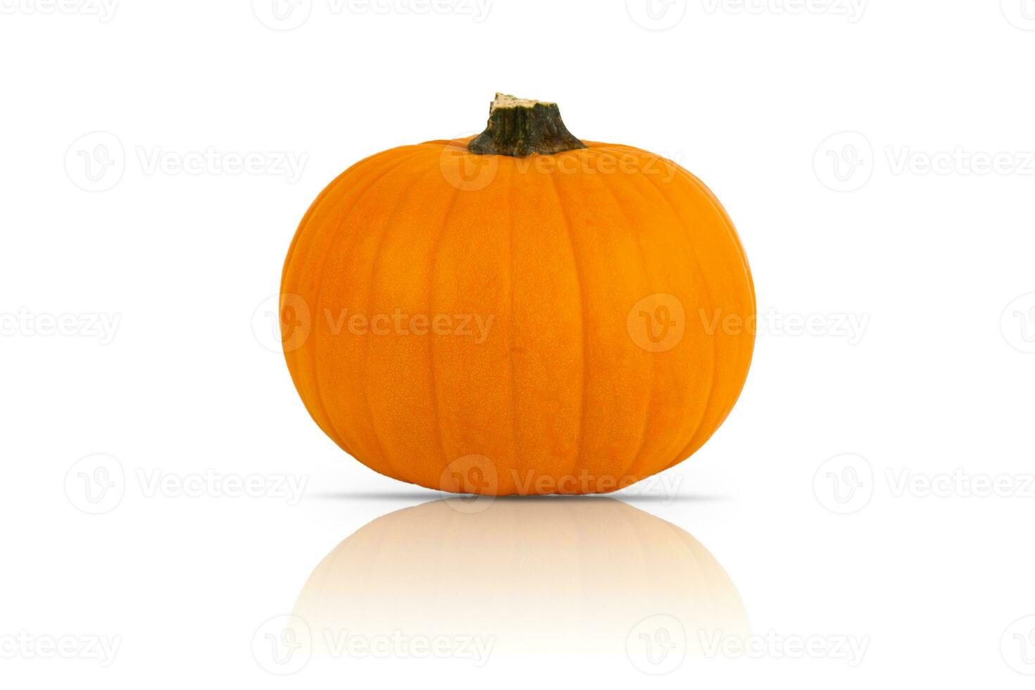 Orange fresh pumpkin isolated on white background. photo