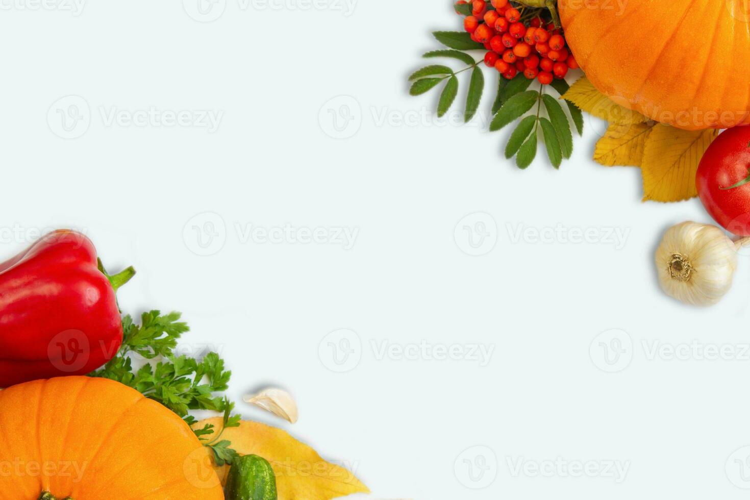 Seasonal vegetables on a white background. Thanksgiving celebration. photo