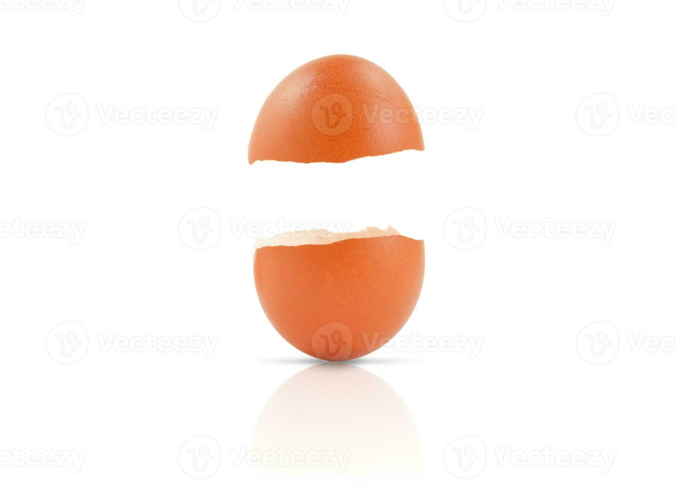 Brown egg shell isolated on white background. Close up photo