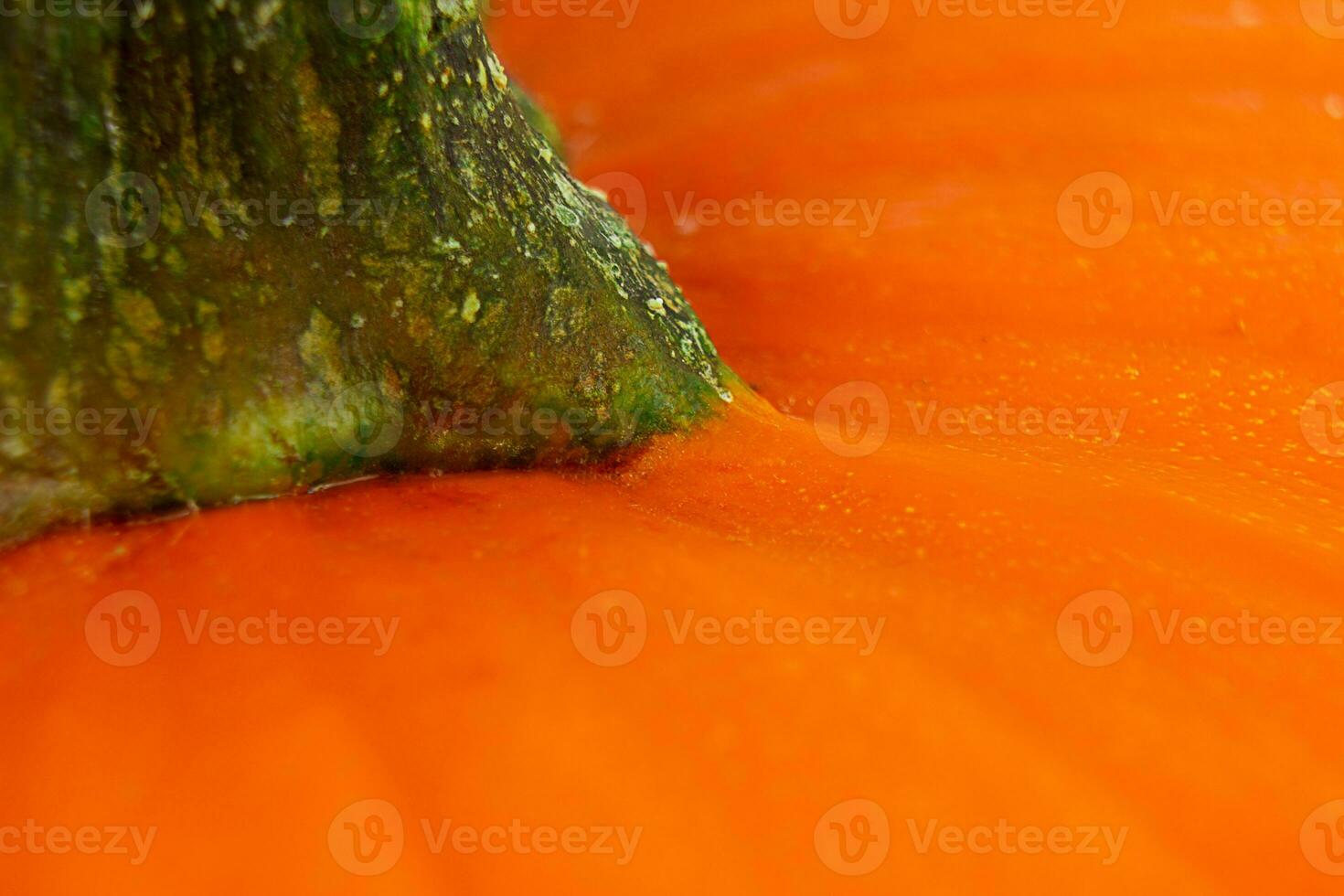 naranja, Fresco calabaza cerca arriba. comida textura. foto