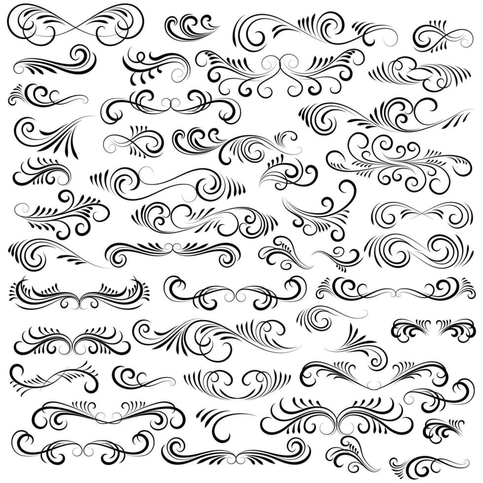 Vector graphic elements for design vector elements. Swirl elements decorative illustration. Classic calligraphy swirls, greeting cards, wedding invitations, royal certificates and graphic design.