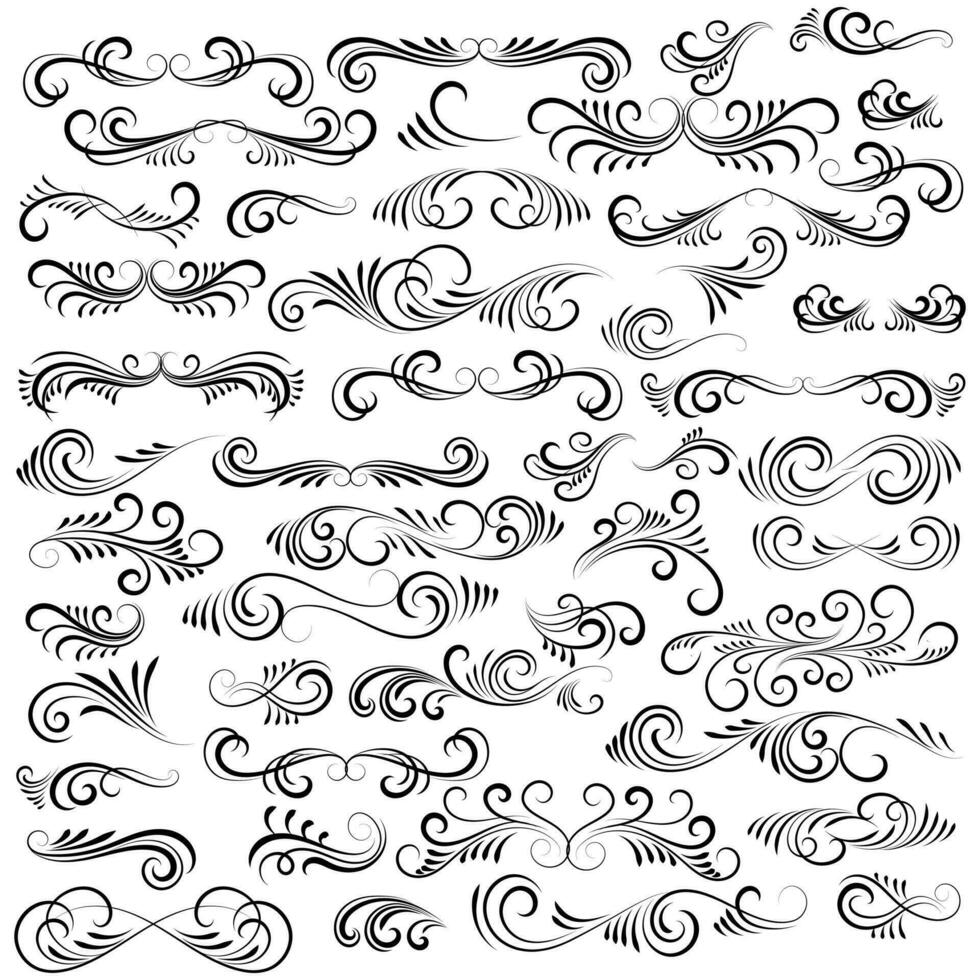 Vector graphic elements for design vector elements. Swirl elements decorative illustration. Classic calligraphy swirls, greeting cards, wedding invitations, royal certificates and graphic design.