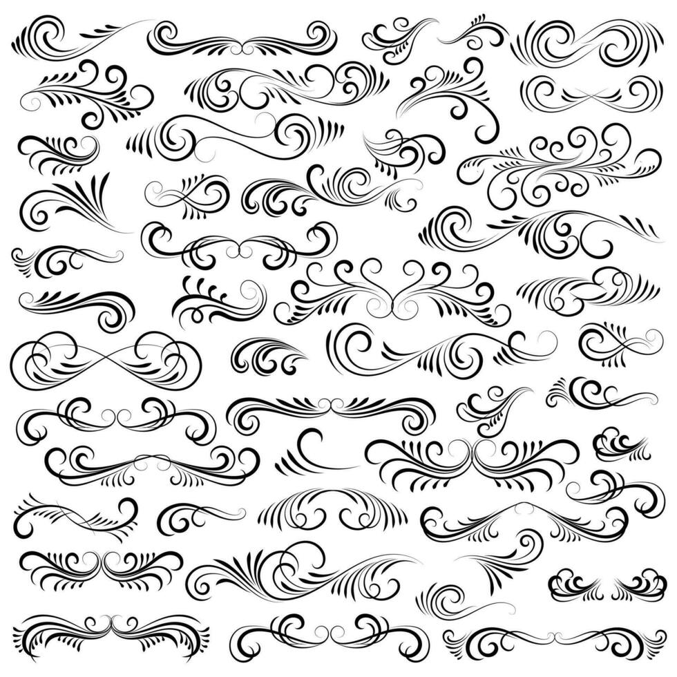 Vector graphic elements for design vector elements. Swirl elements decorative illustration. Classic calligraphy swirls, greeting cards, wedding invitations, royal certificates and graphic design.