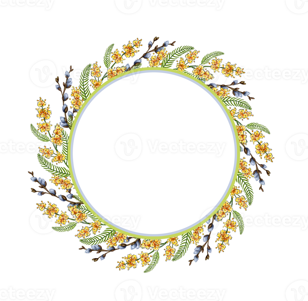 Watercolor illustration frame of spring flowers and wreath branches. Beautiful round frame of watercolor mimosa and willow in yellow, gray color. Floral template for wedding invitation, gift card, png