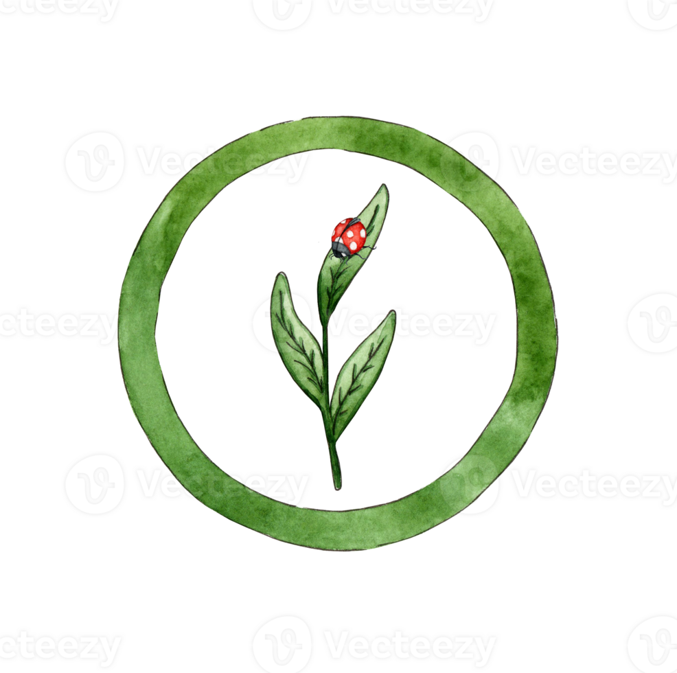 Watercolor illustration logo design sprout in green circle and ladybug, green tea herbal, natural medicine, sprout with green leaves, recycling concept, reuse use. Isolated png