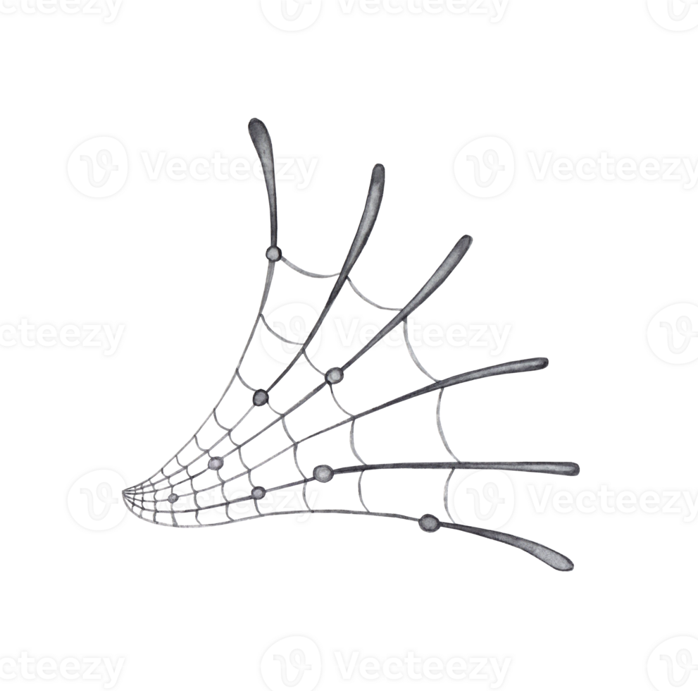 Watercolor illustration of black spider web for Halloween party decoration isolated. Design concept for poster, card, banner, clothing, wallpaper, wrapping paper, packaging, png