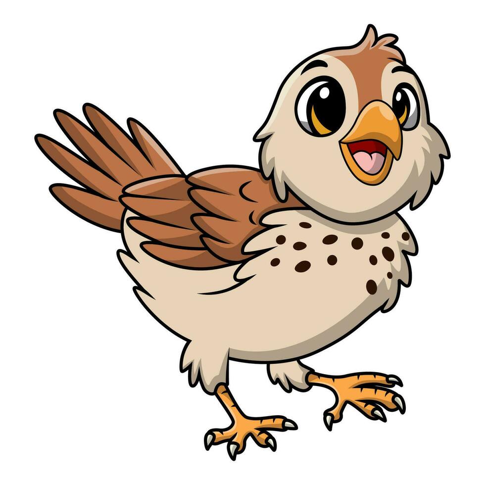 Cute quail bird cartoon on white background vector
