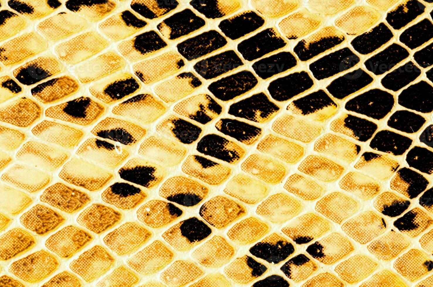 a snake skin texture with black and yellow spots photo