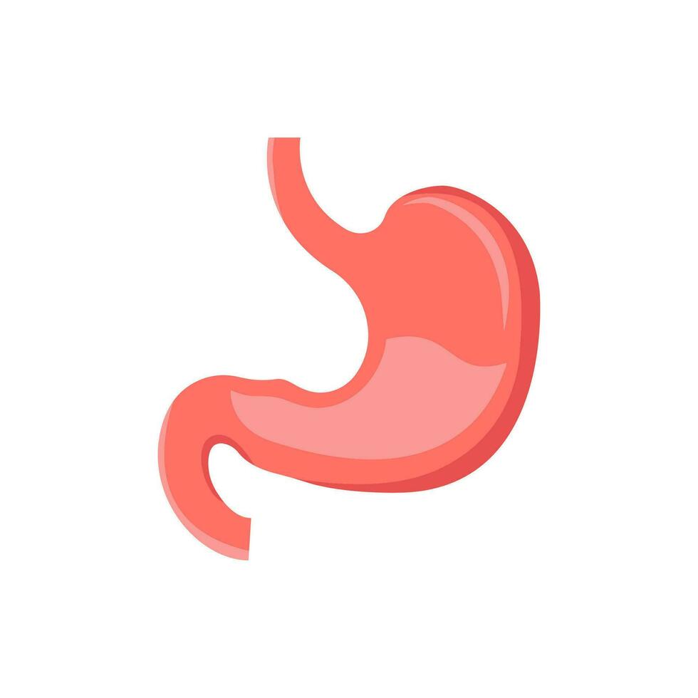 stomach icon design vector template