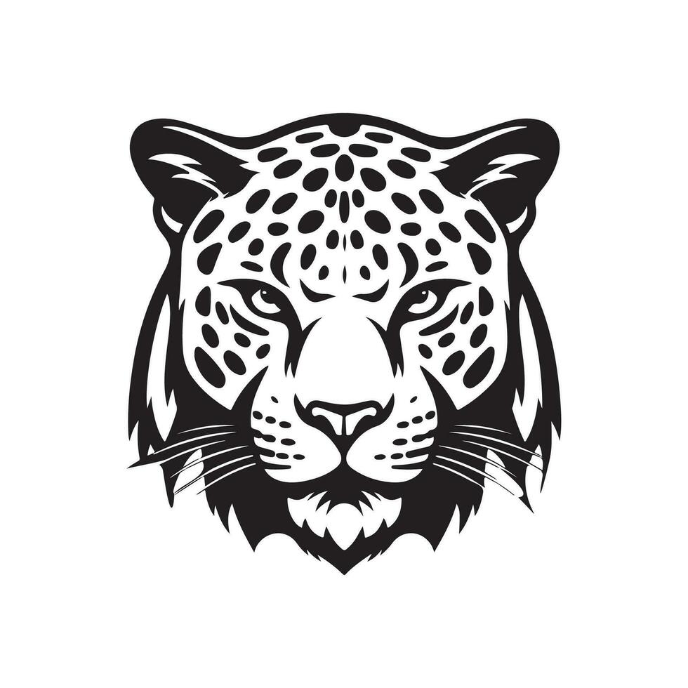 Leopard Head Vector Images