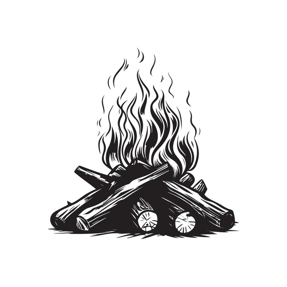 Bonfire Vector Images