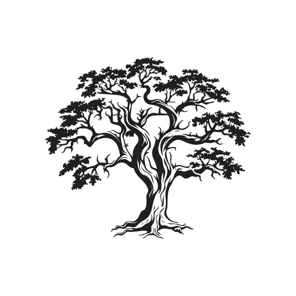 Tree Vector Image, Icons, and Graphics