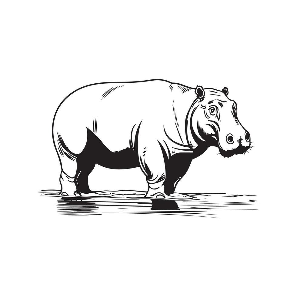 Hippopotamus Vector Images