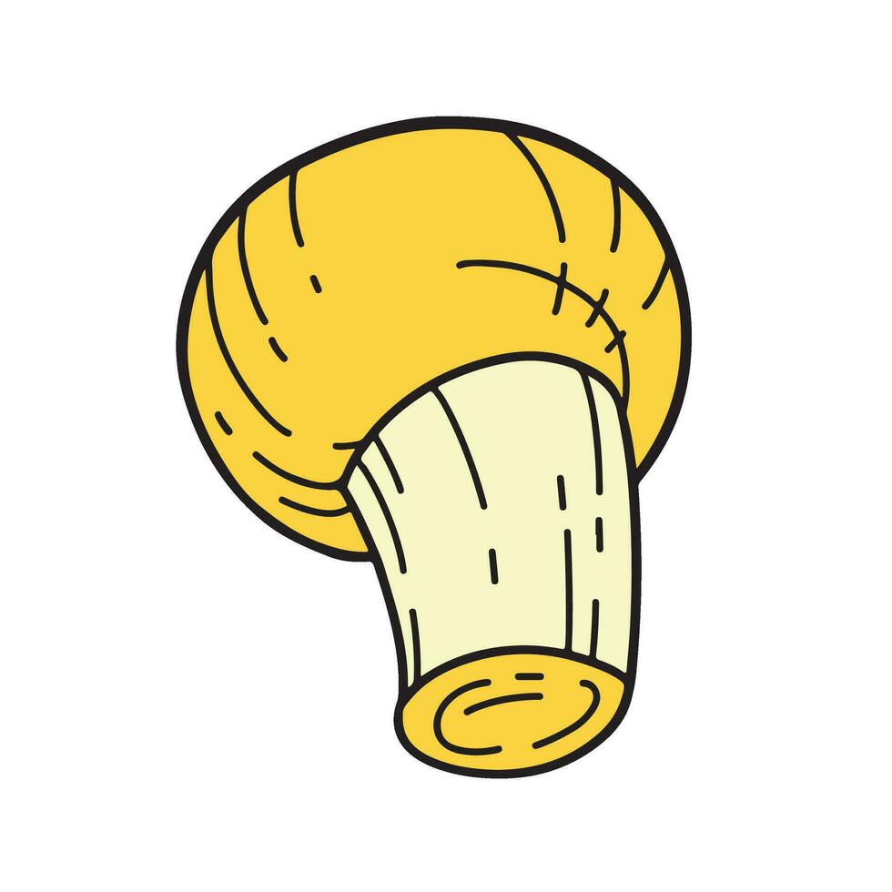 Muhsroom icon vector illustration