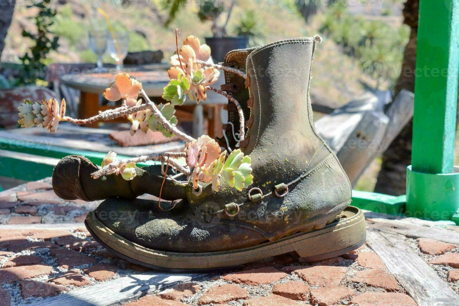 an old boot with plants in it sitting on a brick patio photo