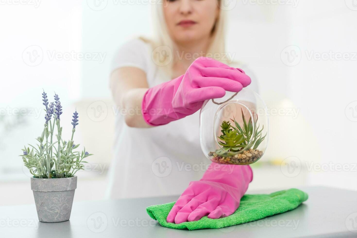 Cleanness is in trend. Pretty smiling woman wiping table with cloth and special means of washing photo