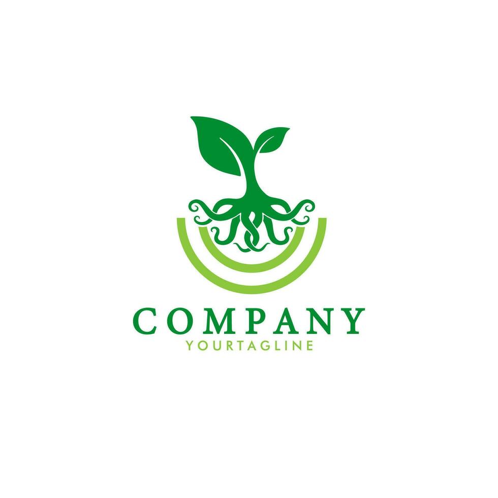 design logo leaves with roots vector illustration