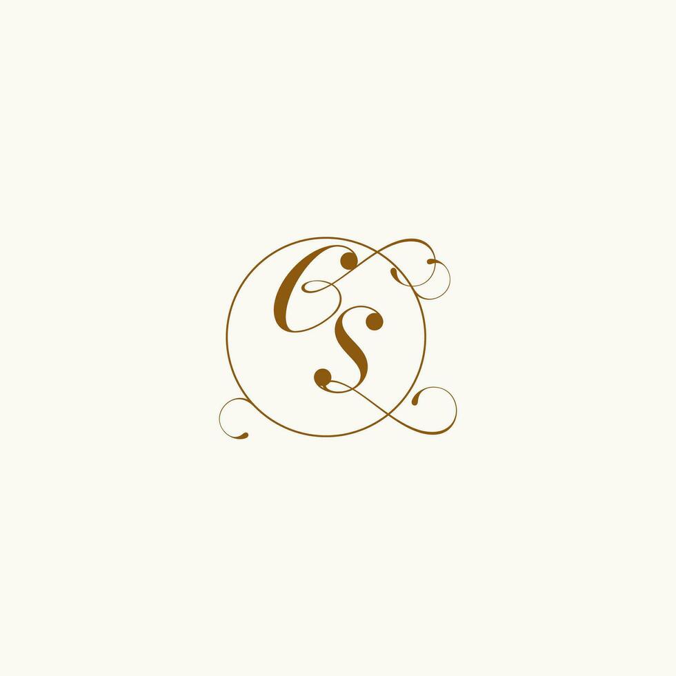 CS wedding monogram initial in perfect details vector