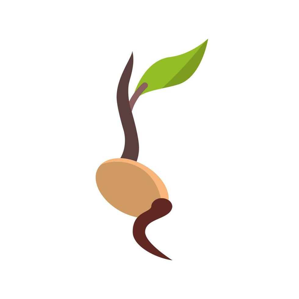 seed icon design vector template