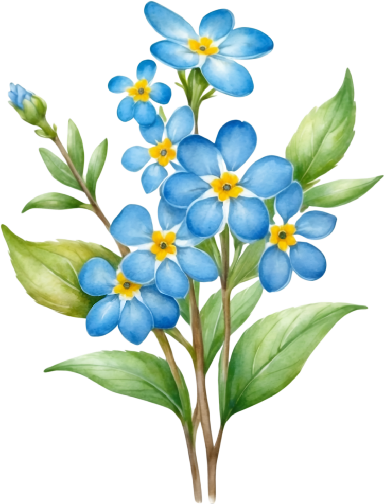 AI generated Watercolor paintings of Wood forget-me-not flowers. Ai-Generated. png