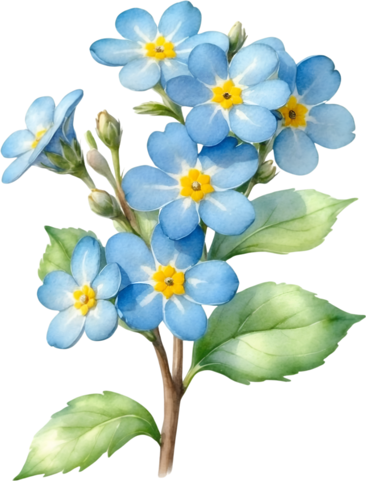 AI generated Watercolor paintings of Wood forget-me-not flowers. Ai-Generated. png