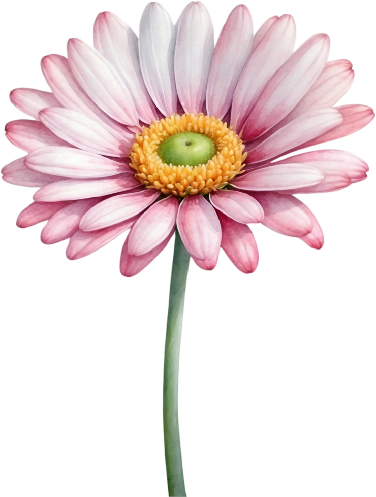 AI generated Watercolor paintings of Daisy and flowers. Ai-Generated. png