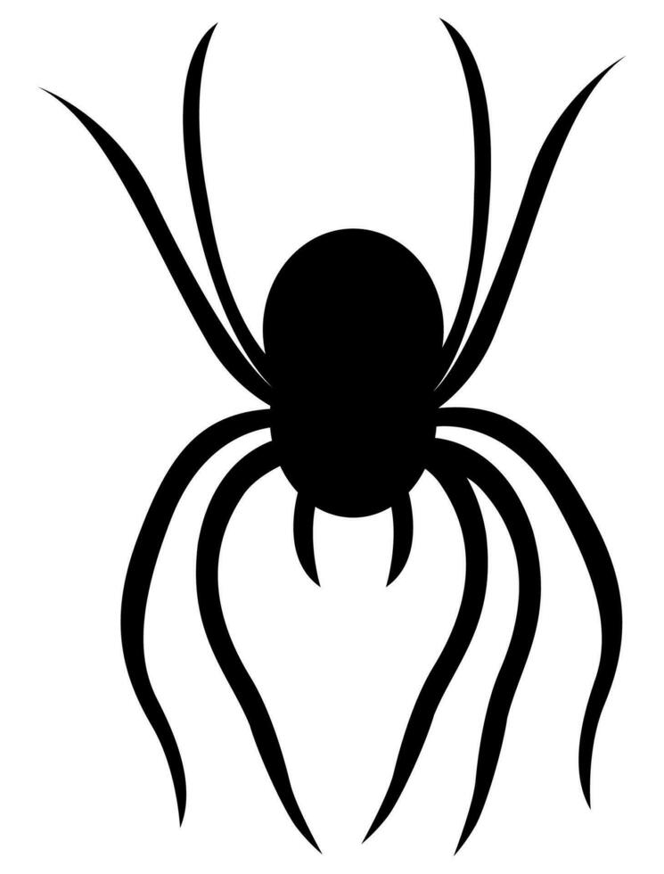 Spider silhouette vector isolated on white background.