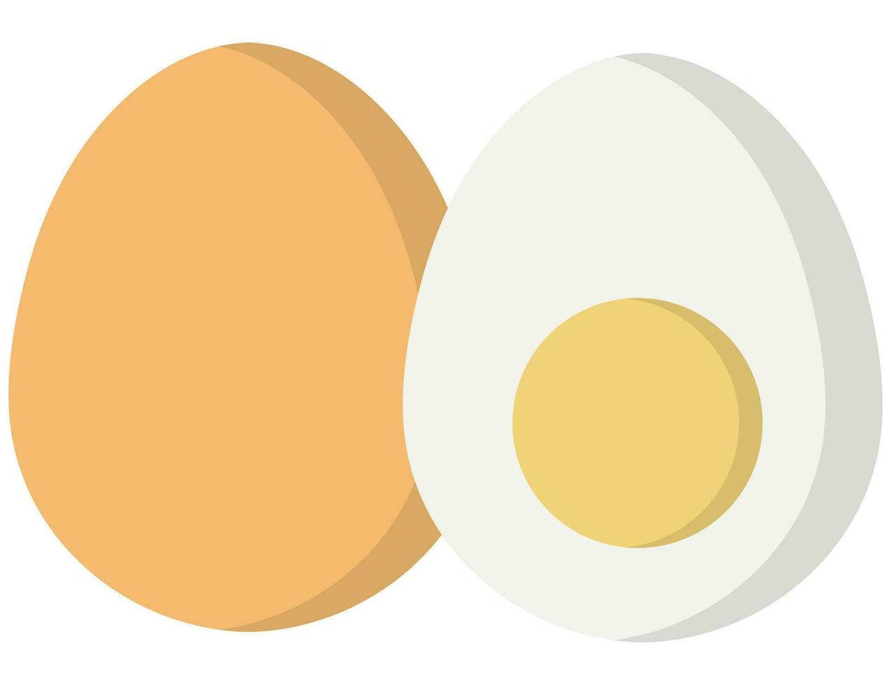 Set of boiled eggs, half, sliced isolated white background. vector