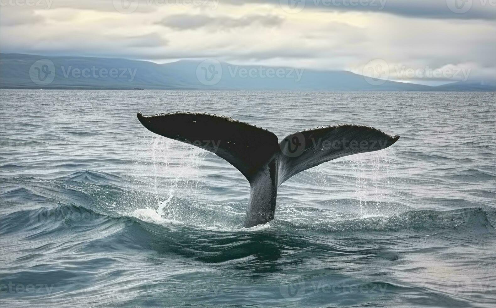 Tail of humpback whale swimming under water of wavy ocean against cloudy sky in Iceland. Generative AI photo