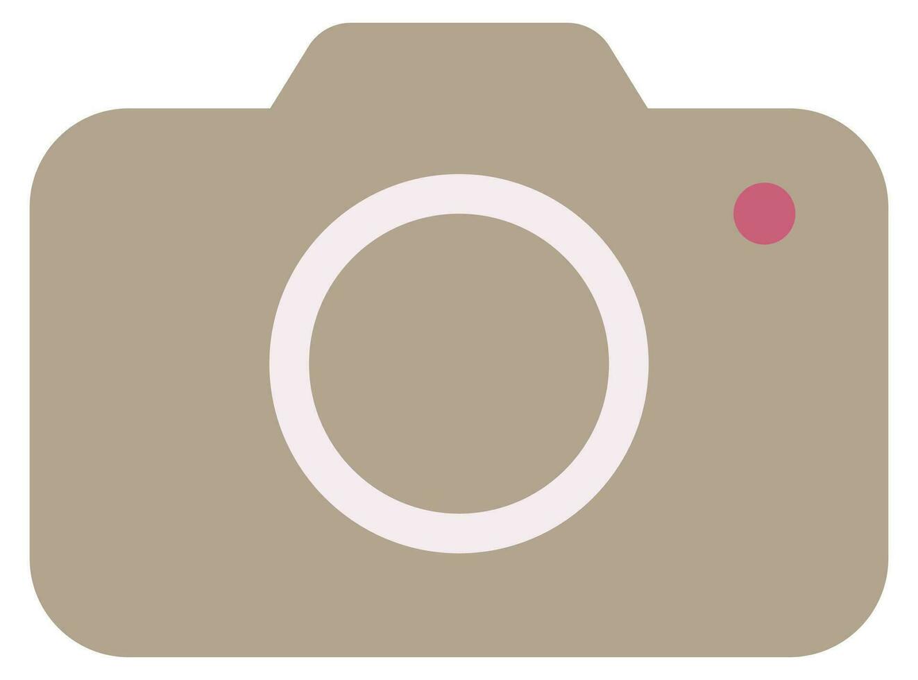 Photo camera flat vector on white background.