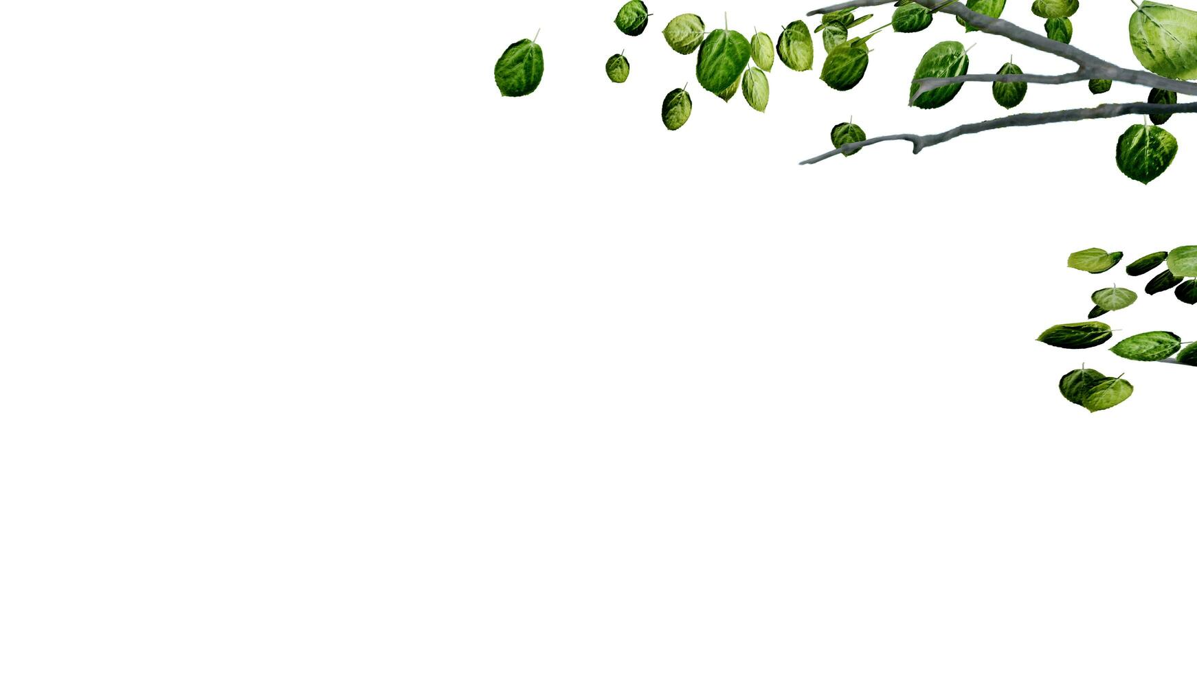 tree leave nature transparent cut out forest isolated background 3d render. photo