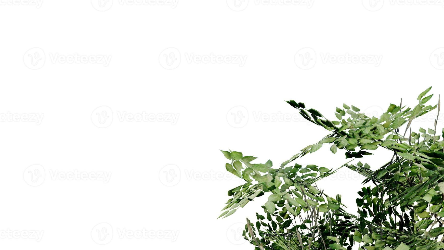 tree leave nature transparent cut out forest isolated background 3d render. photo