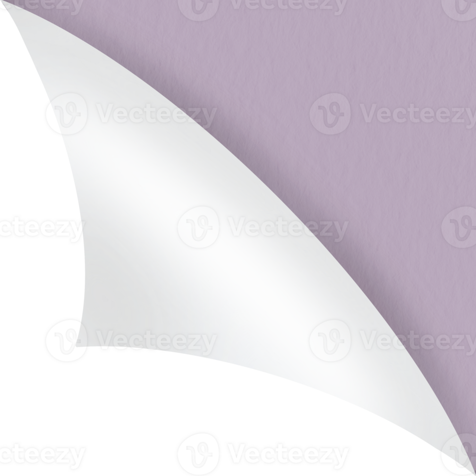 paper sheet turn curl and flip Curled page corner with shadow on transparent background. Blank sheet of page fold png