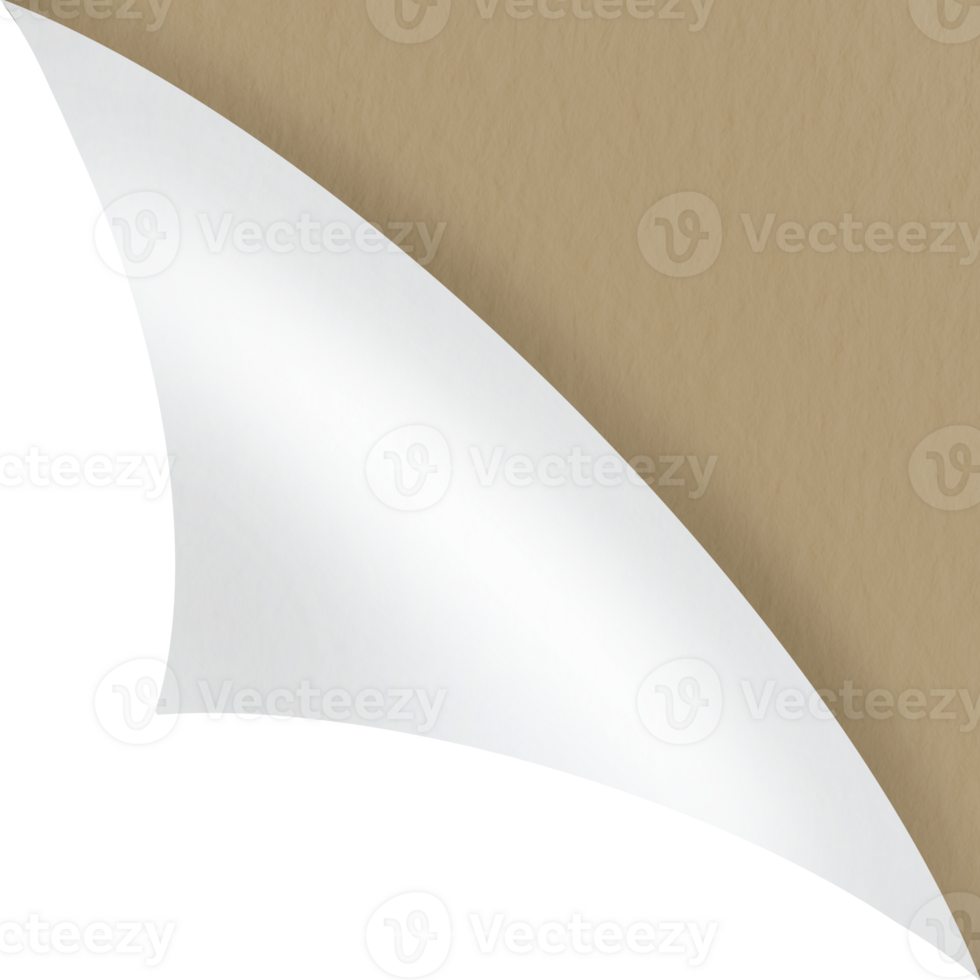 paper sheet turn curl and flip Curled page corner with shadow on transparent background. Blank sheet of page fold png