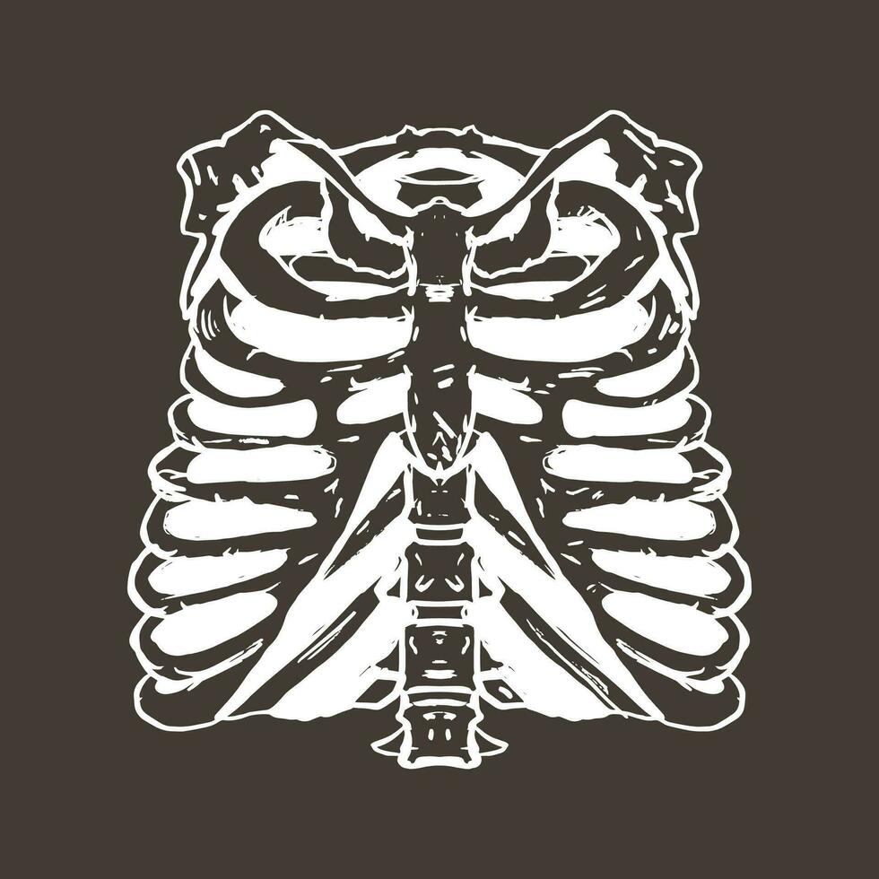 hand drawn rib cage illustration in a striking and cool style for logos, clothing businesses, and t-shirt prints or stickers, backgrounds, and clothing collection designs vector