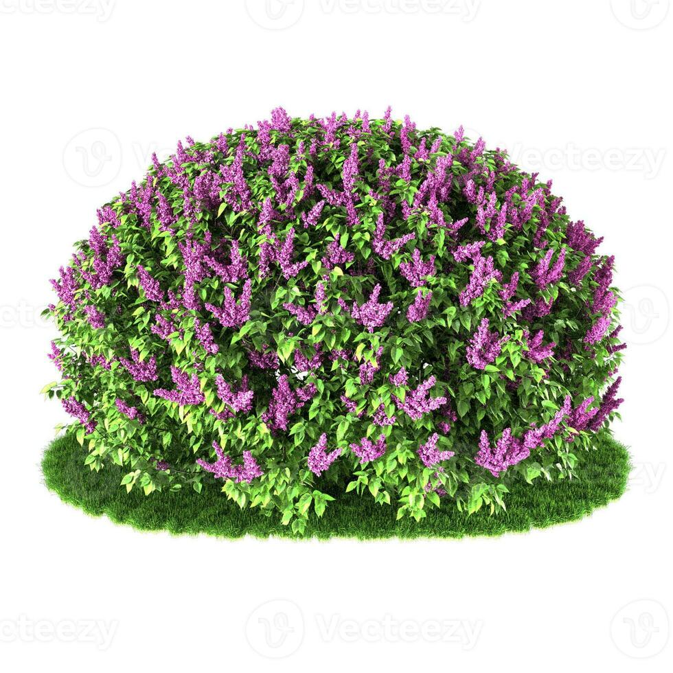 Flower plants in the garden. High quality 3D rendering results. photo