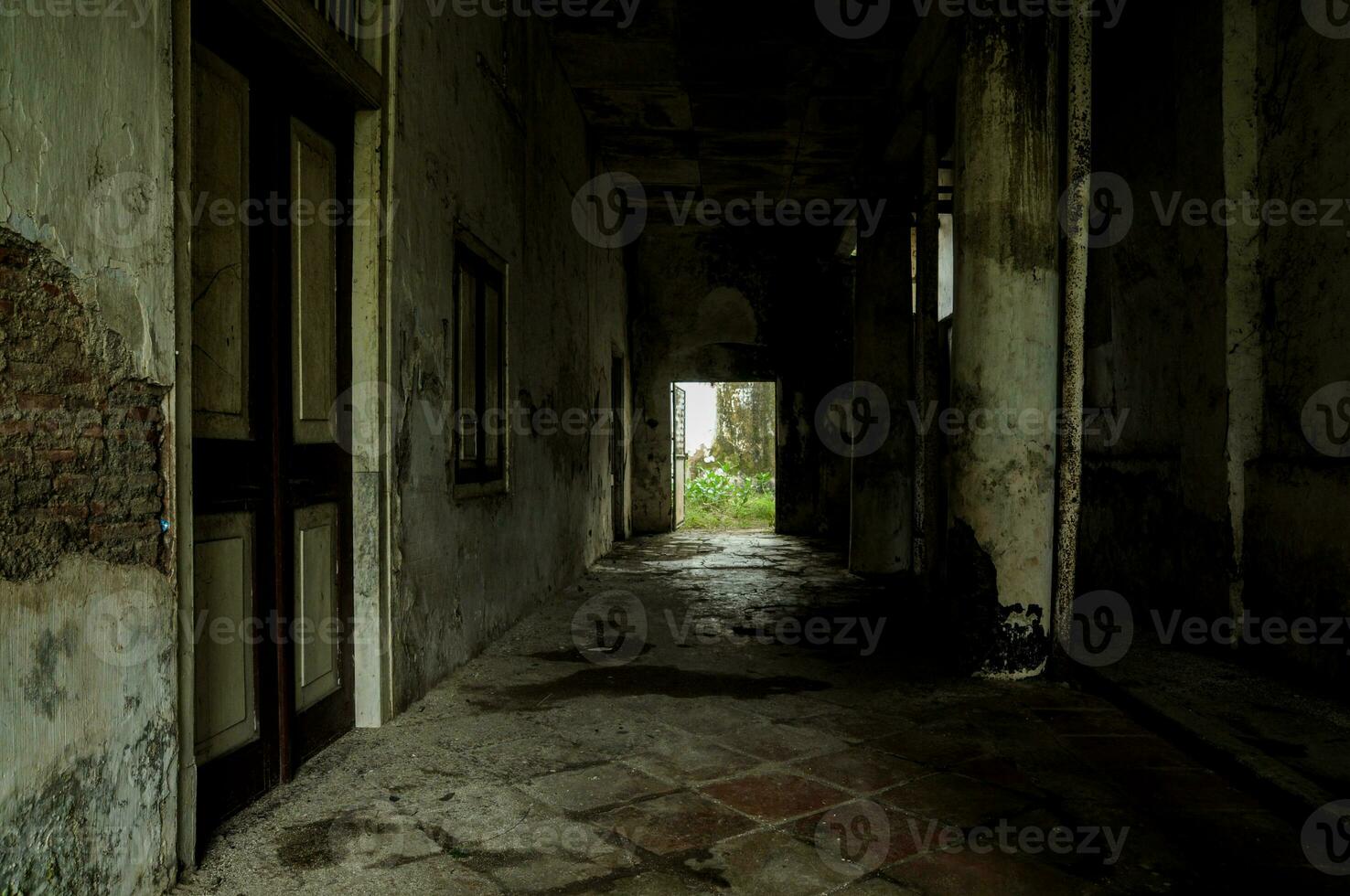 the hallway of an empty house that has been left in a state of disrepair photo