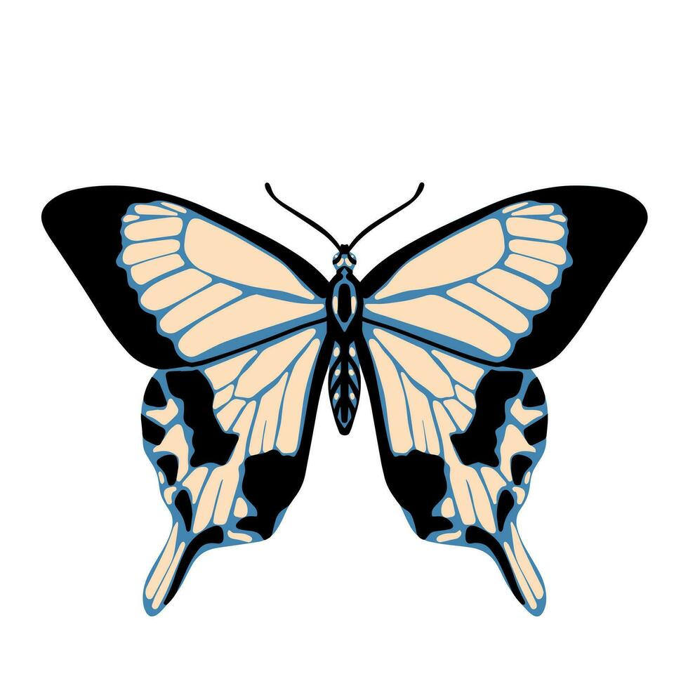 hermosa mariposa. vector mano dibujado ilustración. gráfico elemento para carteles, imprimir, Moda diseño, envase papel