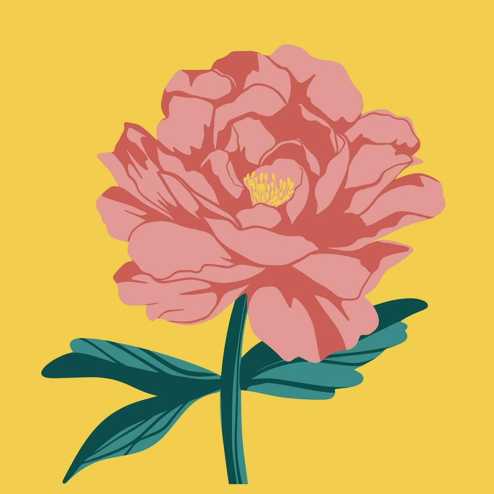 Colored flat vector illustration of  peony. For cosmetic package design, medicinal herb, treating, half care, prints. Design element  for fabric, textile, clothing, wrapping paper, wallpaper