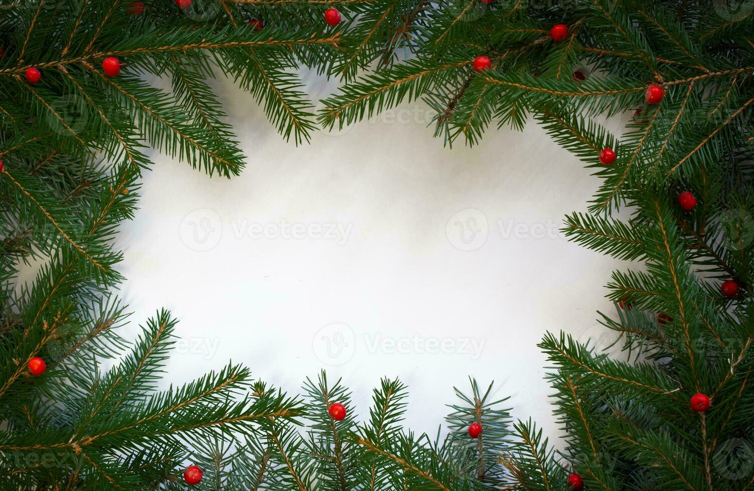 Creative composition with green spruce branches on a white background. Christmas background in retro style. Nature New Year concept. photo
