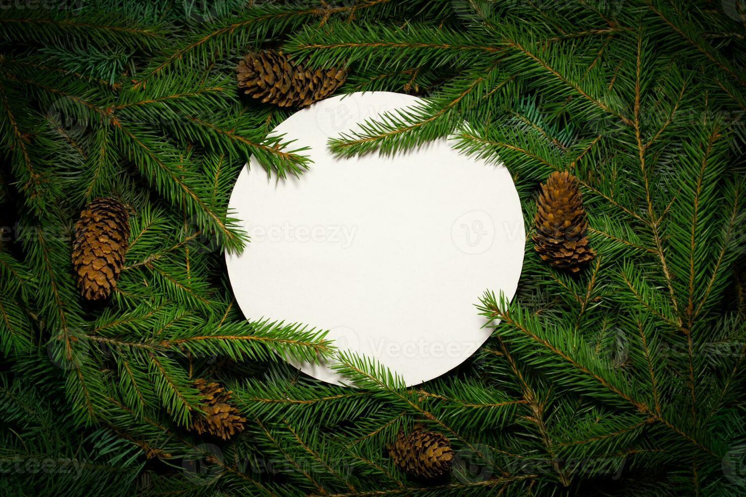 Creative composition with green spruce branches and a white card. Christmas background in retro style. New Year and Christmas card. Nature new year concept. Copy space. photo