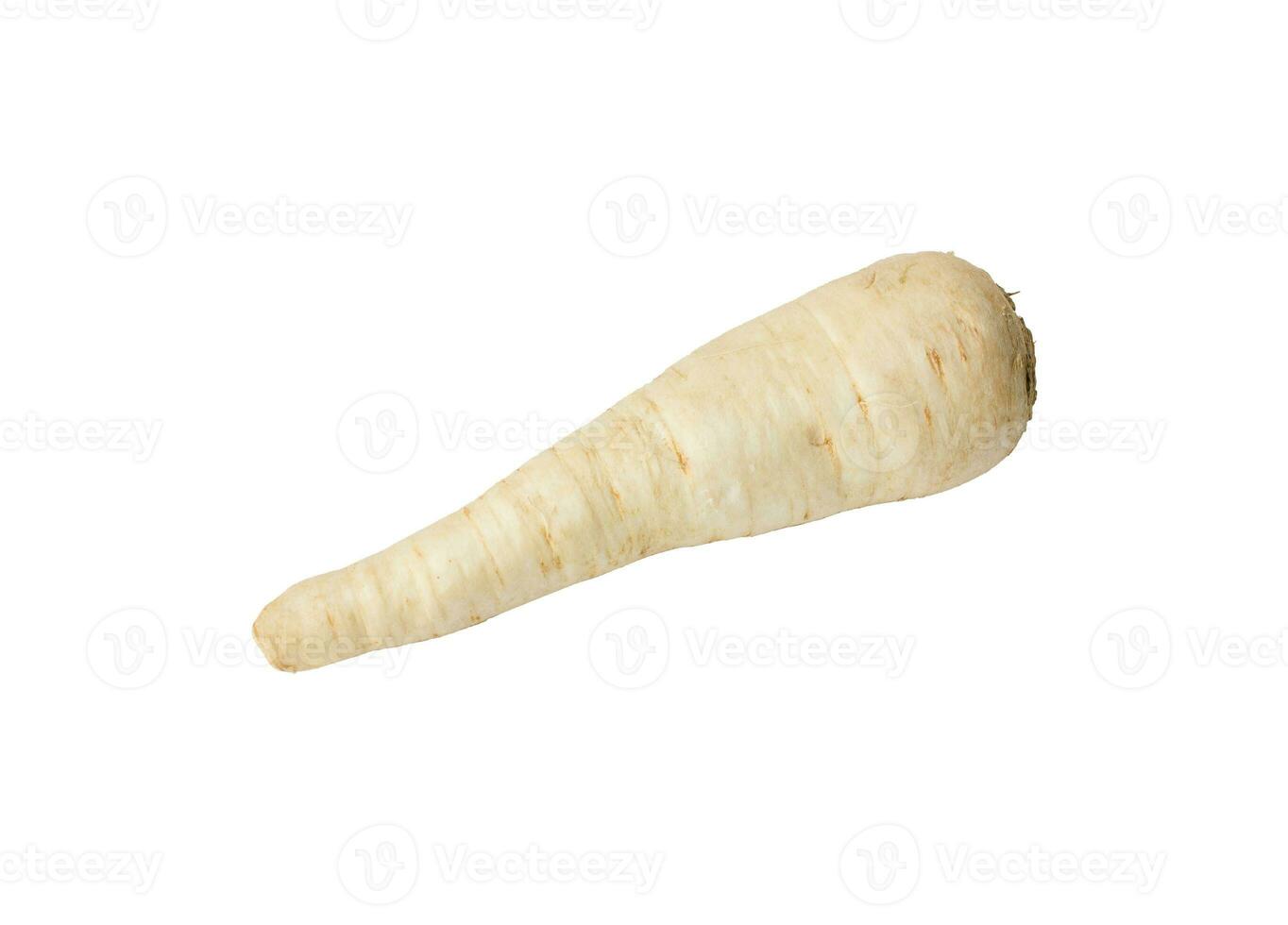 Fresh parsley root isolated on white. Diet and healthy eating photo