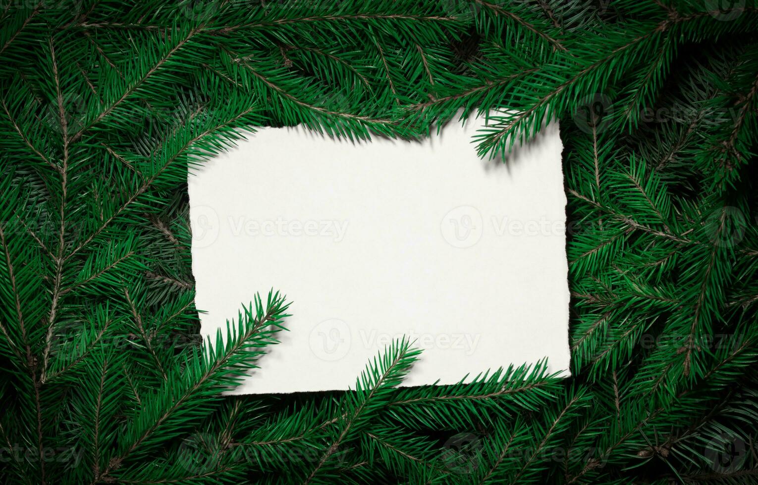 Creative composition with green spruce branches and a white card. Christmas background in retro style. New Year and Christmas card. Nature new year concept. Copy space. photo