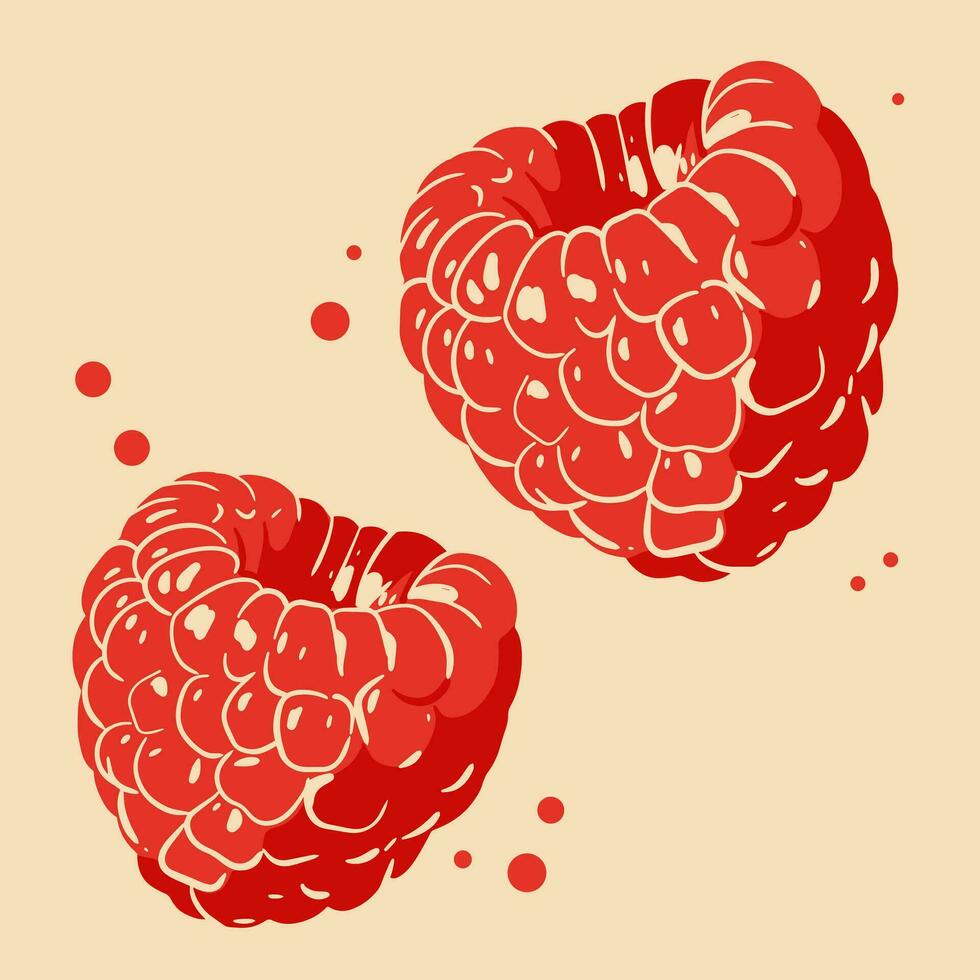 Colored vector illustration of  raspberry. For cosmetic package design, medicinal herb, treating, half care, prints. Design element  for fabric, textile, clothing, wrapping paper, wallpaper