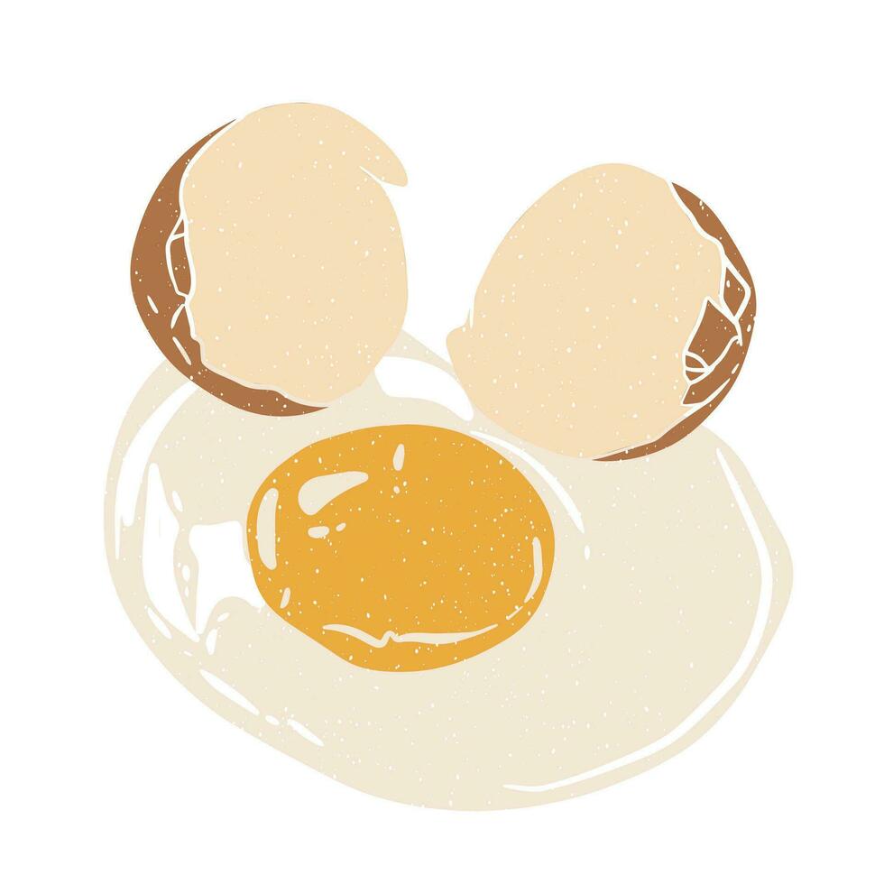 Colorful Chicken Egg. Eggs with shell. Ester, breakfast, organic farm food concept. Hand drawn Vector illustration.