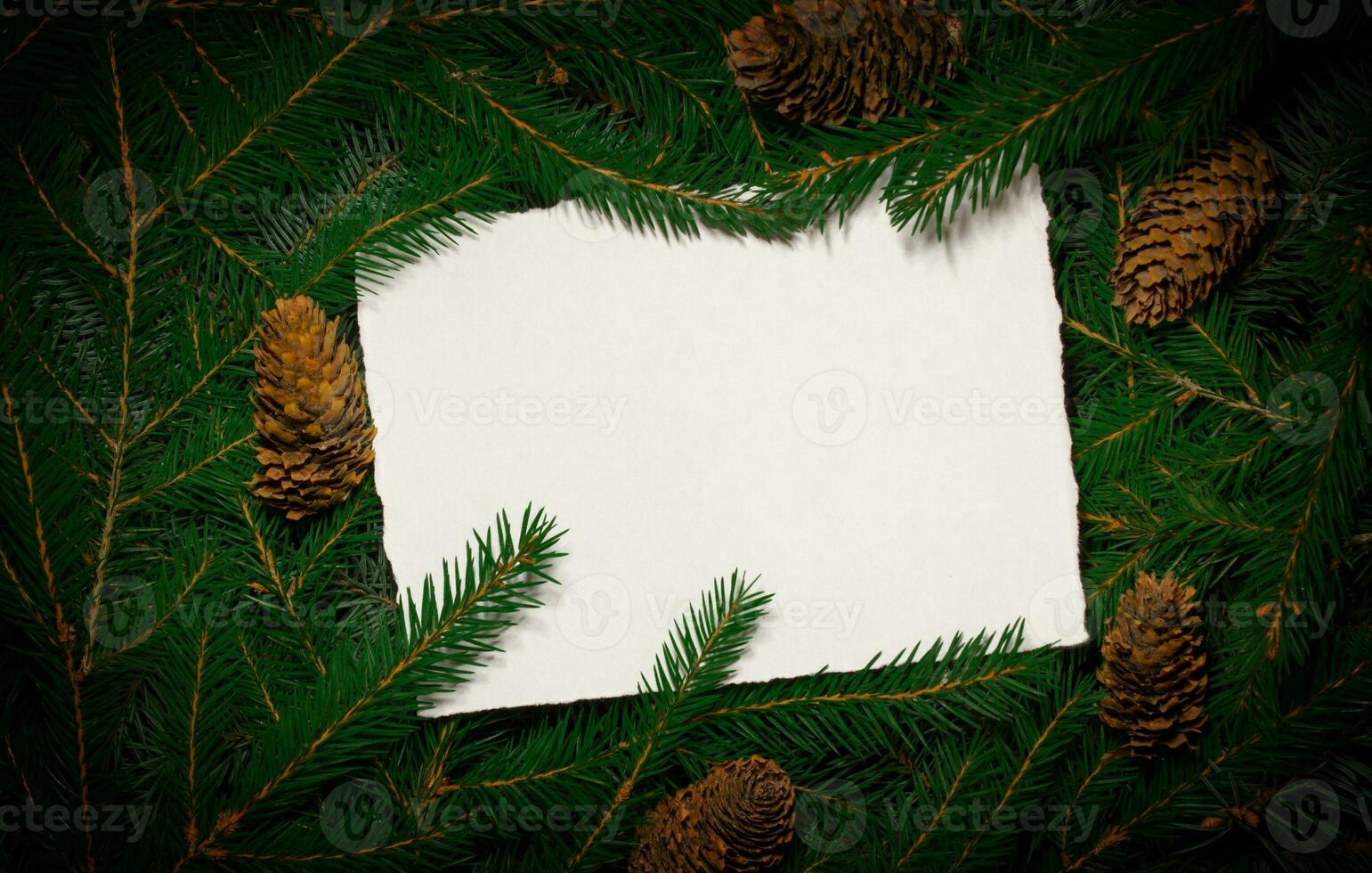 Creative composition with green spruce branches and a white card. Christmas background in retro style. New Year and Christmas card. Nature new year concept. Copy space. photo