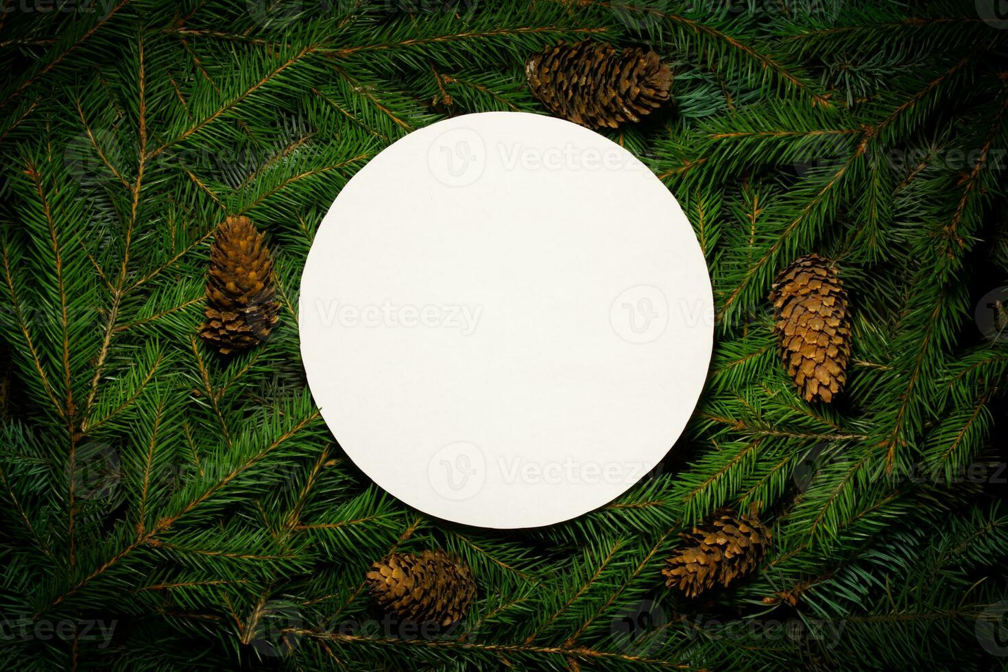 Creative composition with green spruce branches and a white card. Christmas background in retro style. New Year and Christmas card. Nature new year concept. Copy space. photo