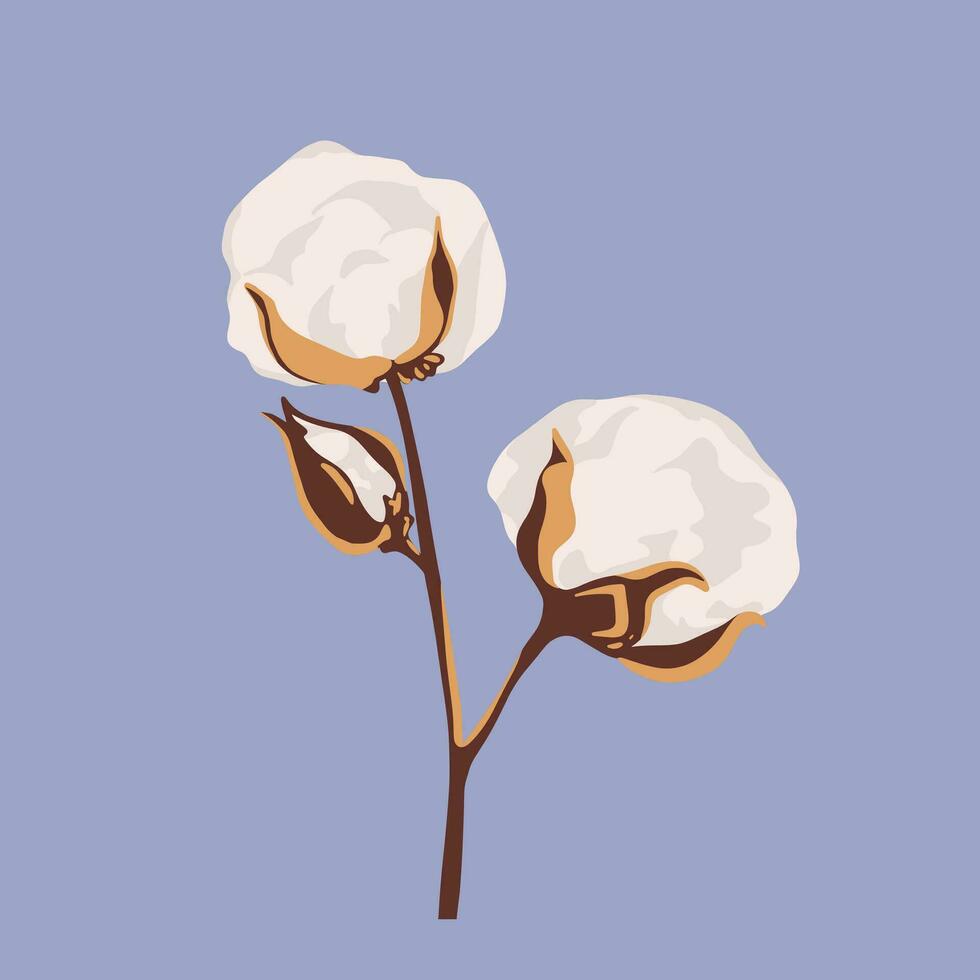 algodón flor plantas, mullido pelotas. mano dibujado vector ilustración en plano estilo. pastel colores