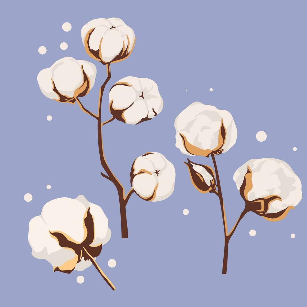 Set of cotton flowers. Vector hand drawn botanical illustration.