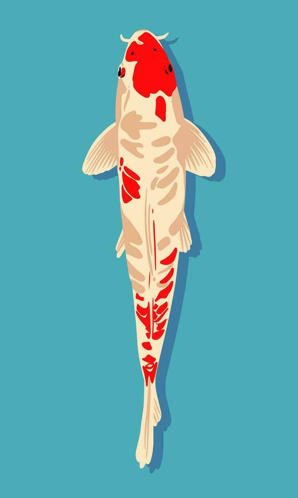 Koi fish. Vector illustration in flat style